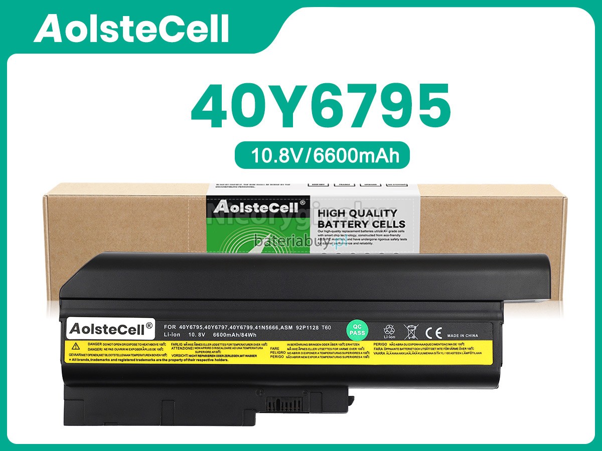 IBM 40Y6795 bateria